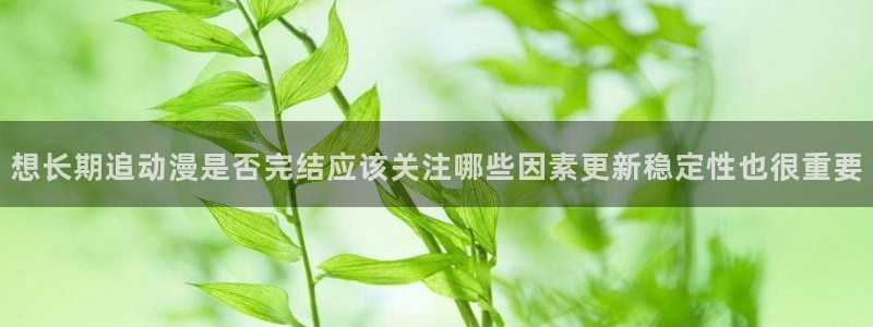 动漫天堂网页版在线观看:想长期追动漫是否完结应该关注哪些因素更新稳定性也很重要配图