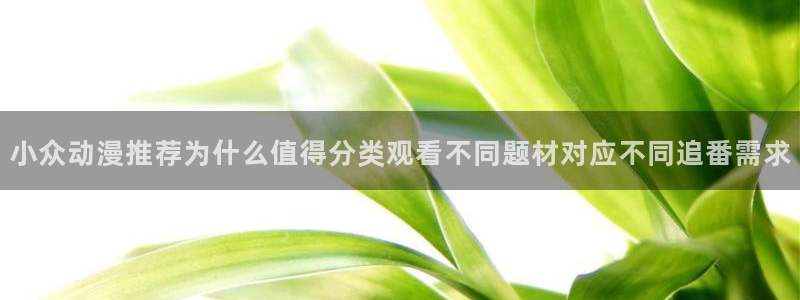 动漫天堂高分动漫推荐:小众动漫推荐为什么值得分类观看不同题材对应不同追番需求配图
