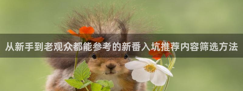 动漫天堂在线动漫免费:从新手到老观众都能参考的新番入坑推荐内容筛选方法配图