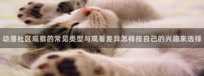 动漫天堂新番追番:动漫社区观察的常见类型与观看差异怎样按自己的兴趣来选择配图