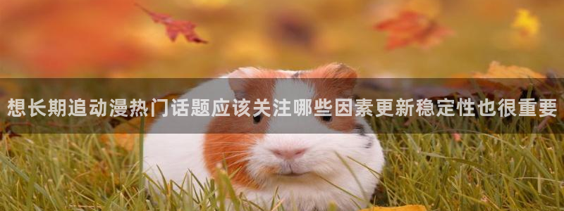 动漫天堂动漫电影大全:想长期追动漫热门话题应该关注哪些因素更新稳定性也很重要配图