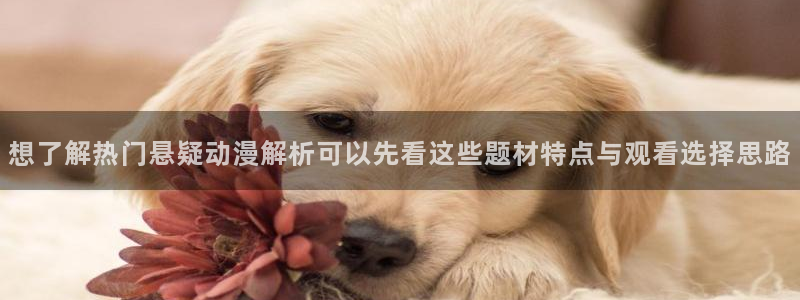 动漫天堂在线动漫推荐：想了解热门悬疑动漫解析可以先看这些题材特点与观看选择思路配图